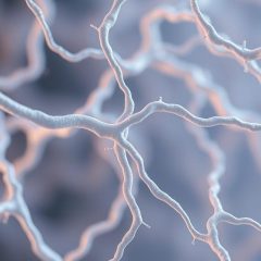 Włókna kolagenowe: co warto wiedzieć o ich roli i znaczeniu?